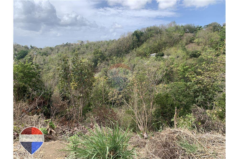 Grondstuk - Te Koop - Anse La Raye, Anse-la-Raye, St Lucia - 6 - 902071001-195