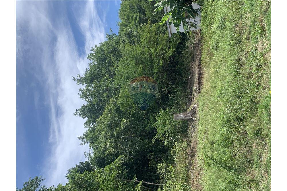 Grondstuk - Te Koop - Gros Islet, Gros-Islet, St Lucia - 15 - 902071001-212