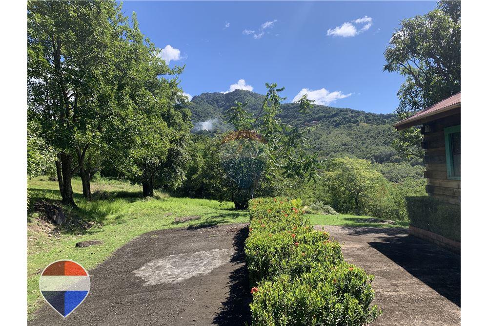 Grondstuk - Te Koop - Theodorine, Anse-la-Raye, St Lucia - 4 - 902071001-196