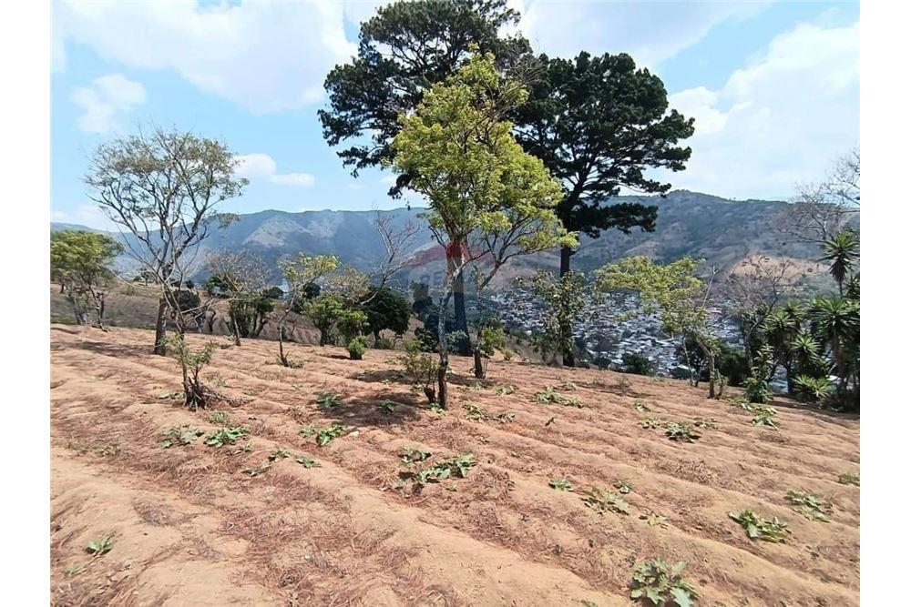 Land - For Sale - Ciudad Vieja, Sacatepéquez, Guatemala - 3 - 90129001-377