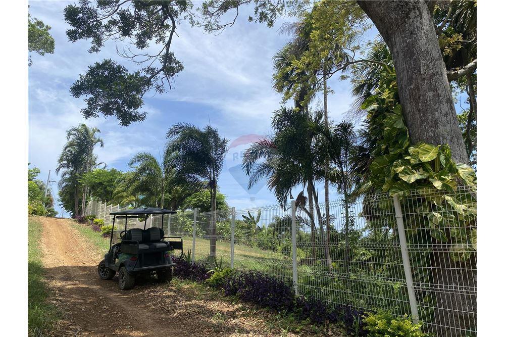 Land - For Sale - Utila, Bay Islands, Honduras - 6 - 90182002-607