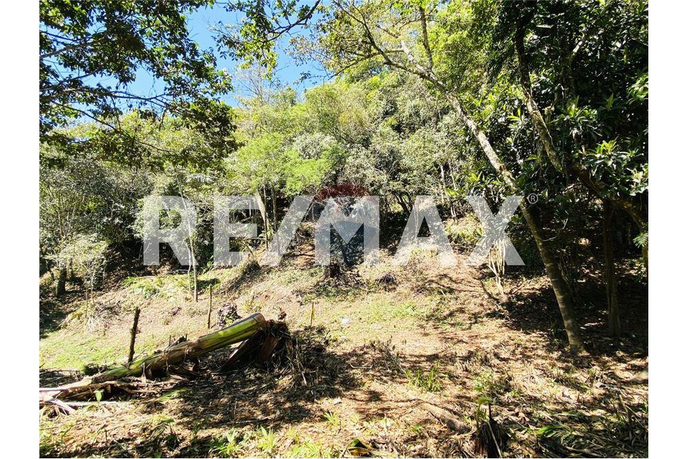 Land - For Sale - Santa Catarina Pinula, Guatemala, Guatemala - 4 - 902311019-21