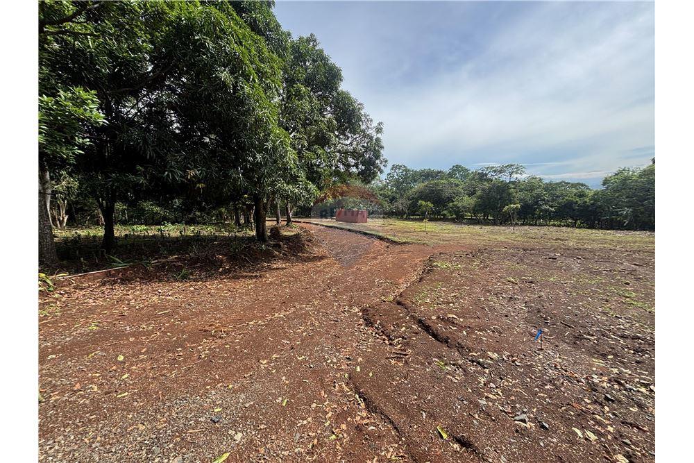 Land - For Sale - Atenas, Alajuela- Atenas, Costa Rica - 28 - 90128002-974