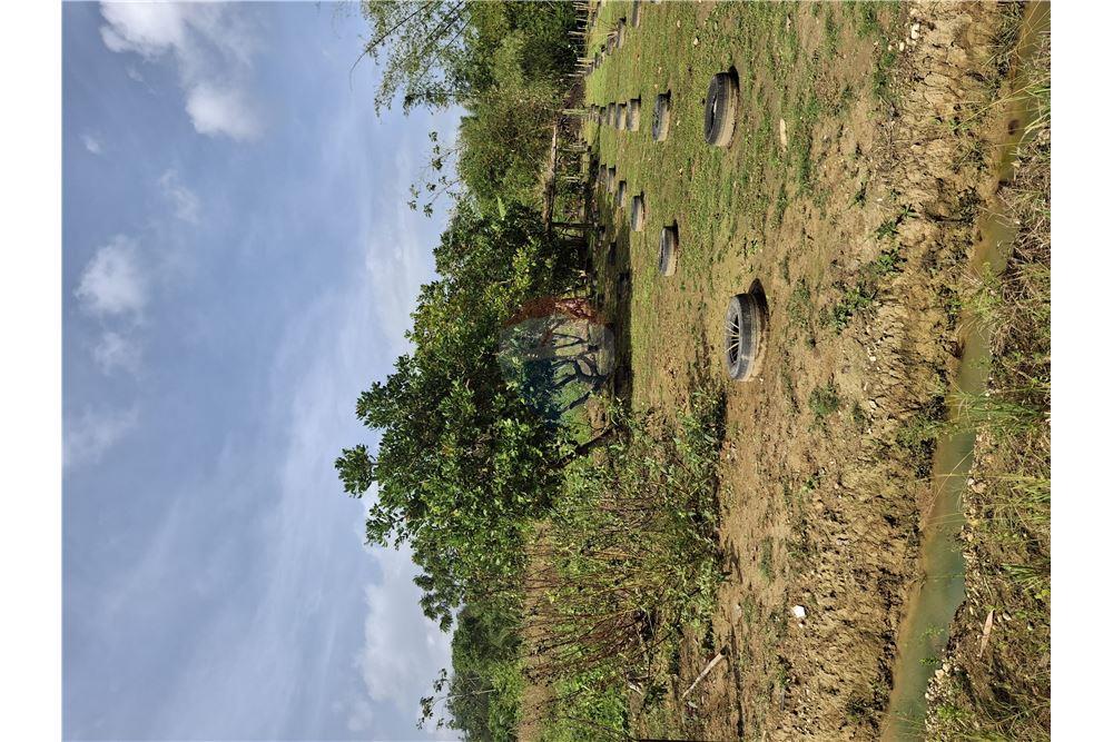 Grondstuk - Te Koop - Sangre Grande, Saint Andrew, Trinidad and Tobago - 2 - 90155092-95