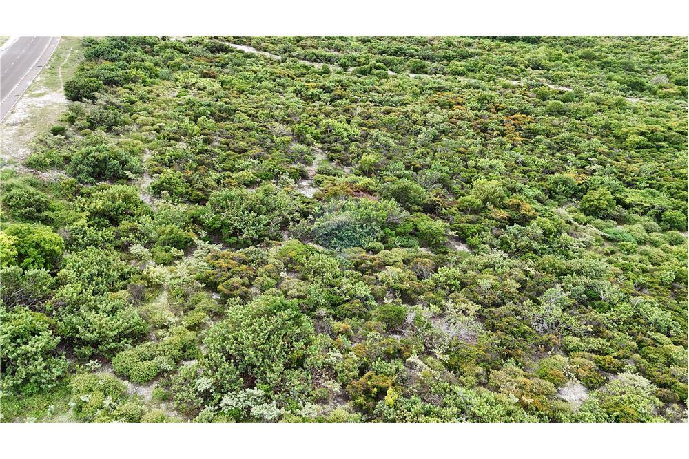 Land - For Sale - North Creek, Grand Turk, Turks and Caicos - 10 - 90111001-82