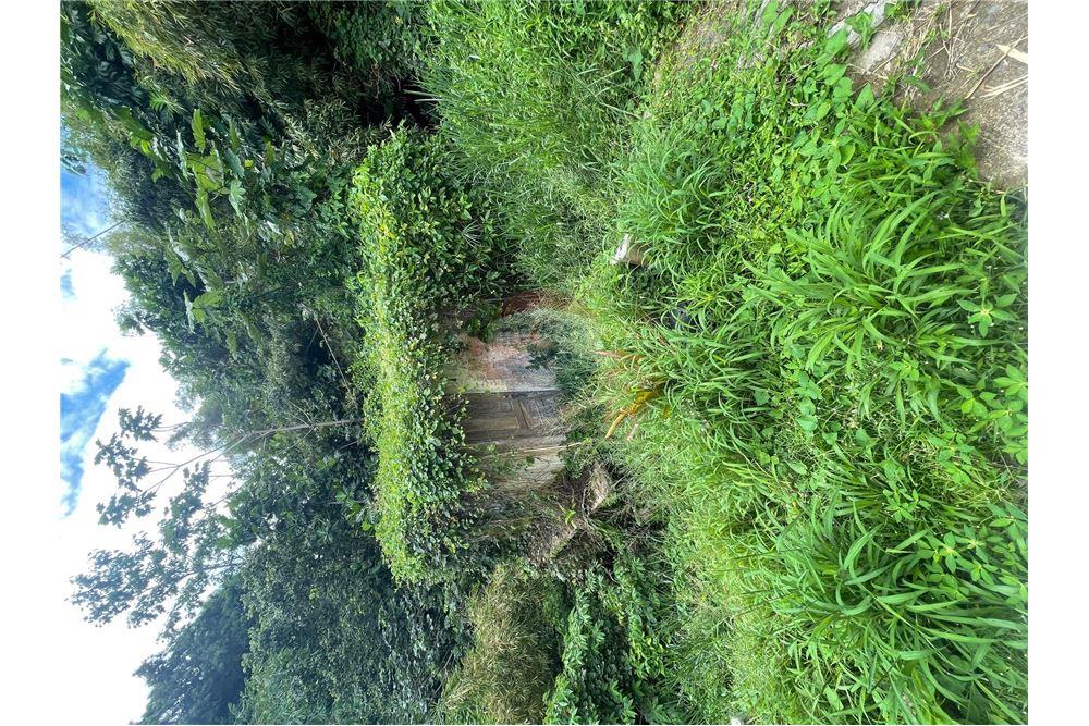 Villa - For Sale - Yabucoa, Yabucoa, Puerto Rico - 6 - 90102037-12