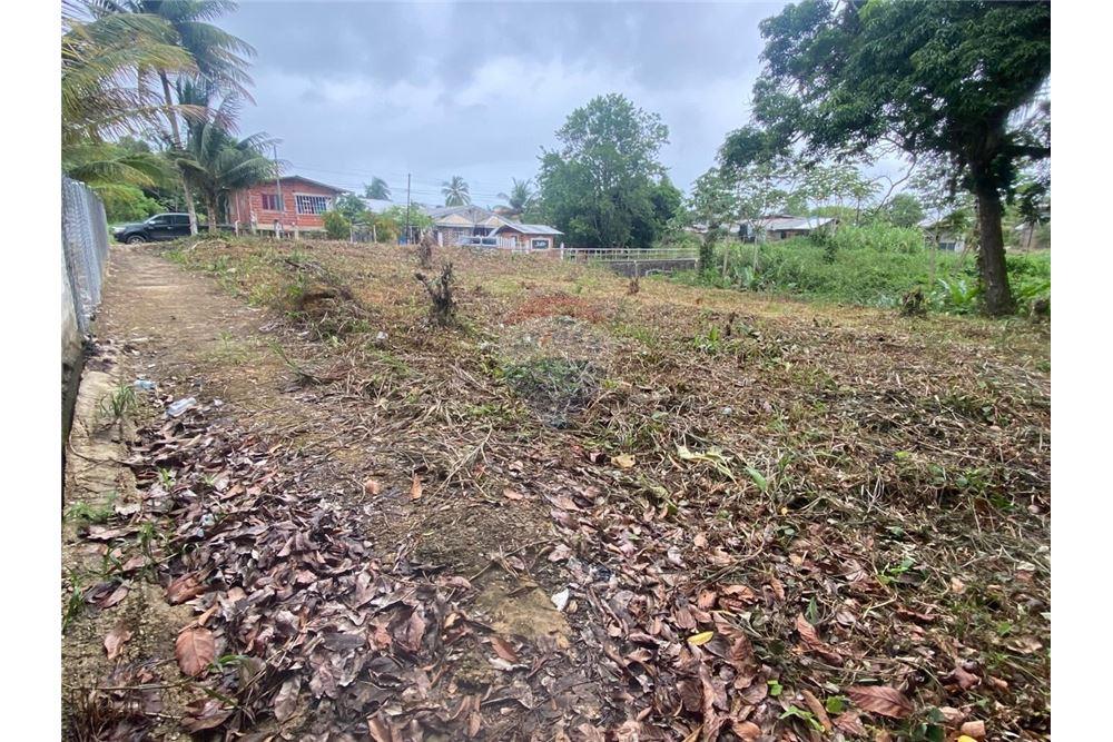 Lote - Venta - Sangre Grande, Saint Andrew, Trinidad and Tobago - 4 - 90155109-184