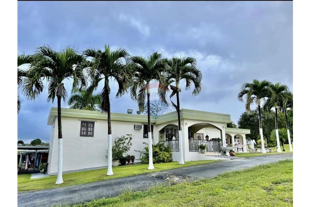 Villa - For Sale - Las Piedras, Las Piedras, Puerto Rico - 1 - 90102054-18
