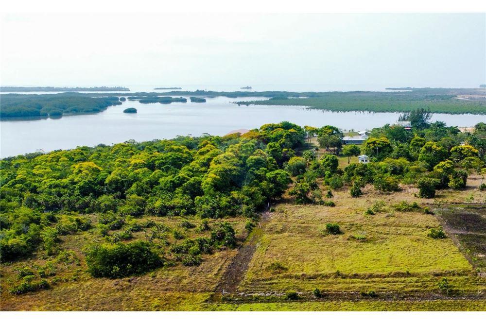 Land - For Sale - Independence, Stann Creek District, Belize - 3 - 90127035-16