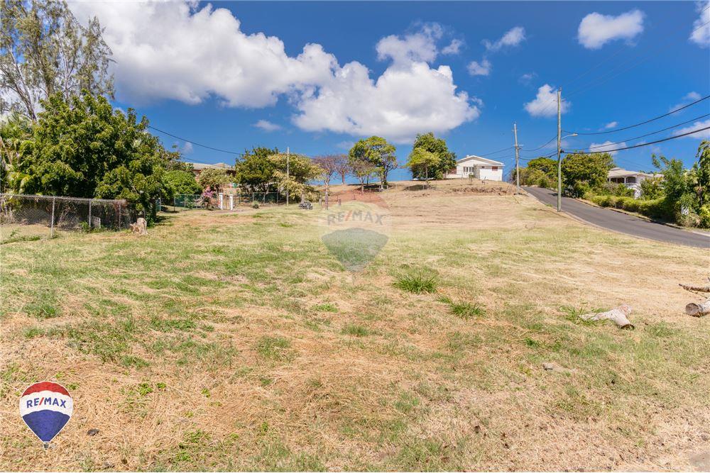 Land - For Sale - Lance aux Epines, Saint George, Grenada - 1 - 902581001-103