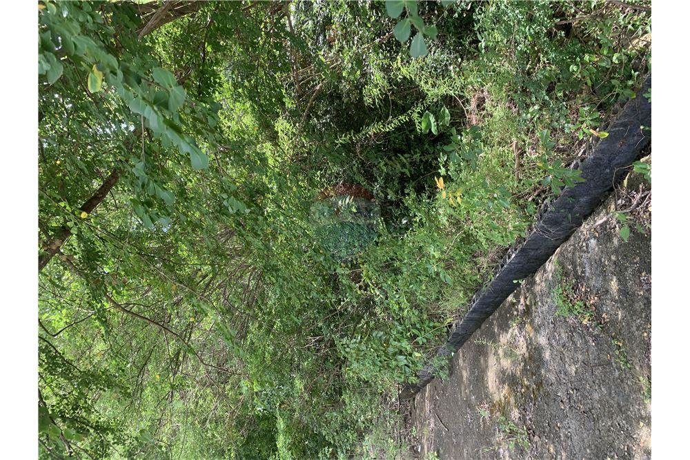 Grondstuk - Te Koop - Gros Islet, Gros-Islet, St Lucia - 7 - 902071001-212