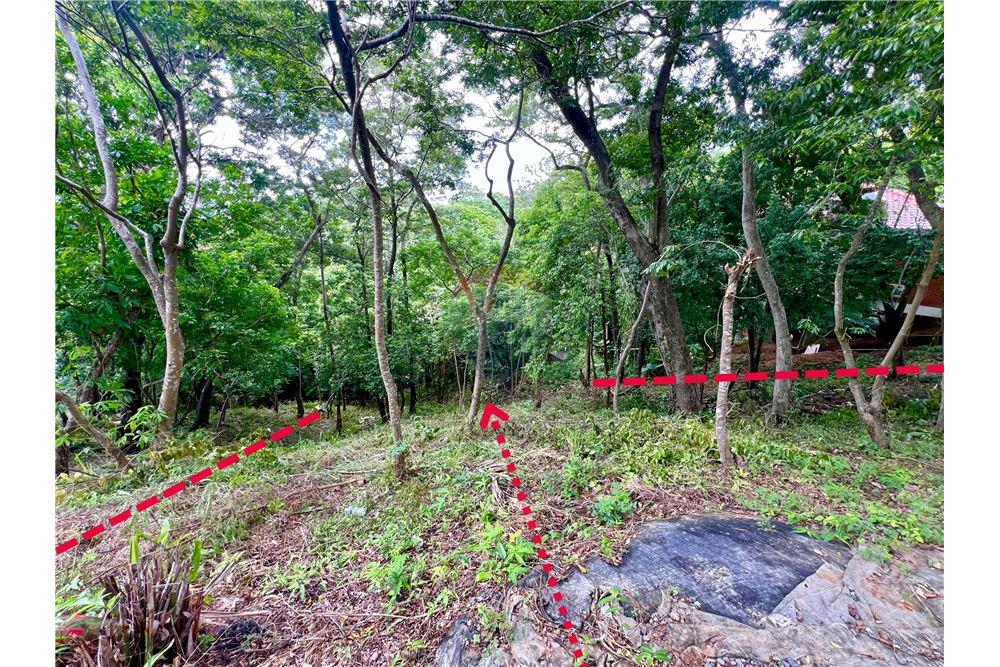 Land - For Sale - Roatan, Bay Islands, Honduras - 2 - 90143009-441