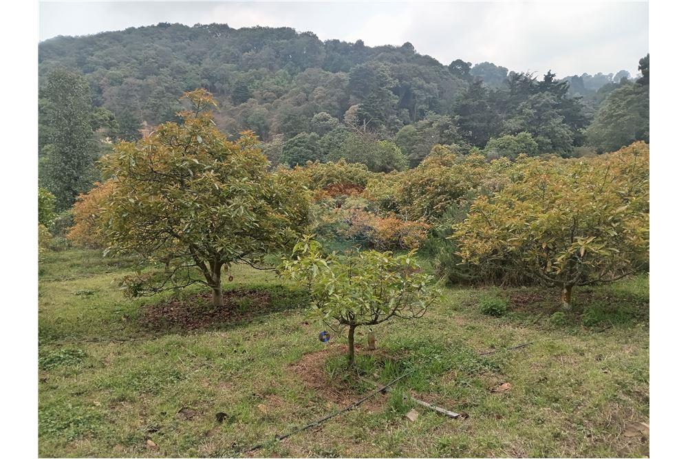 Land - For Sale - Santiago Sacatepéquez, Sacatepéquez, Guatemala - 1 - 902091002-88