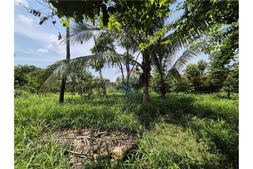 Land - For Sale - Retalhuleu, Retalhuleu, Guatemala - 19 - 902641002-6