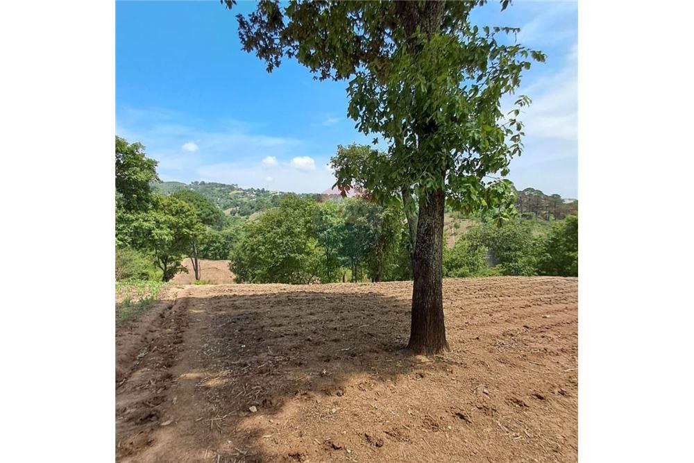 Land - For Sale - San Pedro Ayampuc, Guatemala, Guatemala - 5 - 902651007-2