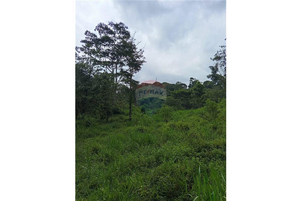 Land - For Sale - Puntarenas, Puntarenas - Puntarenas, Costa Rica - 6 - 902211014-15