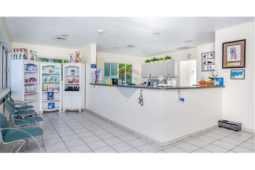 Bedrijfsmatig / Detailhandel - Te Koop - George Town, Grand Cayman, Cayman Islands - 11 - 90146001-235