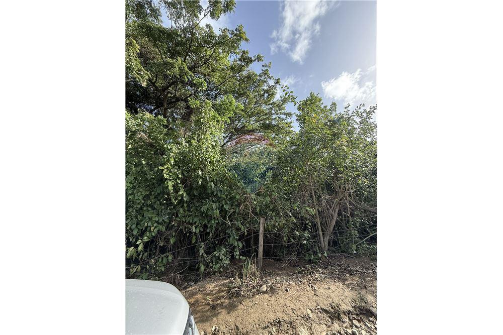 Land - For Sale - East End, Tortola, British Virgin Islands - 5 - 90134005-317