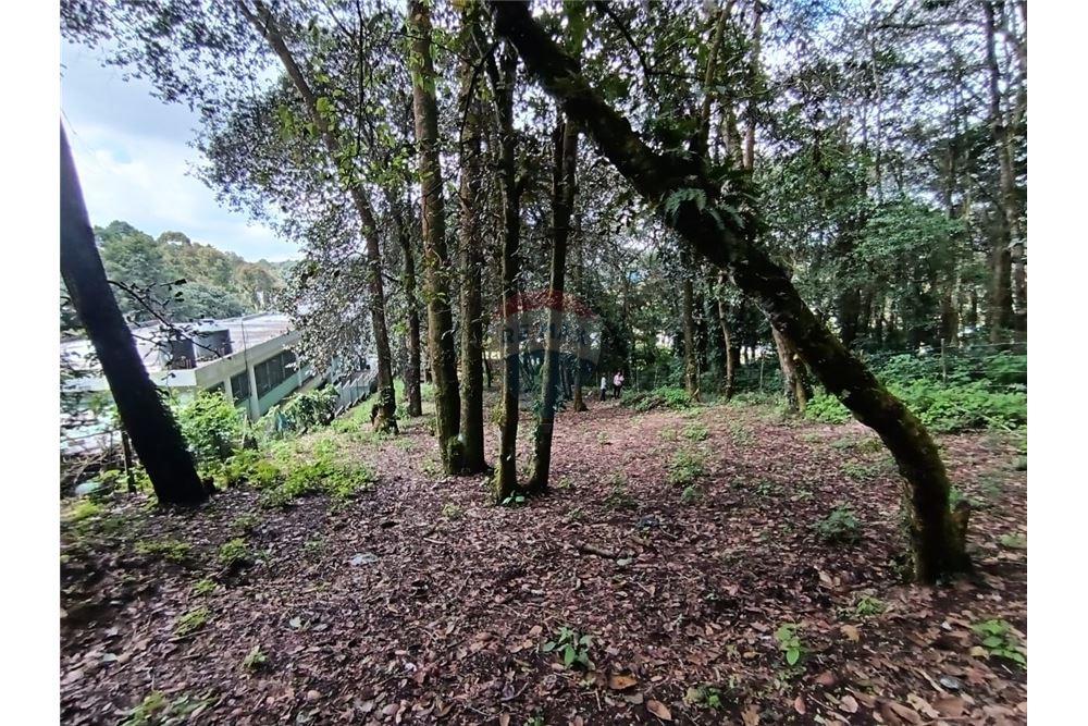 Lote - Venta - San Lucas Sacatepéquez, Sacatepéquez, Guatemala - 4 - 90129016-2