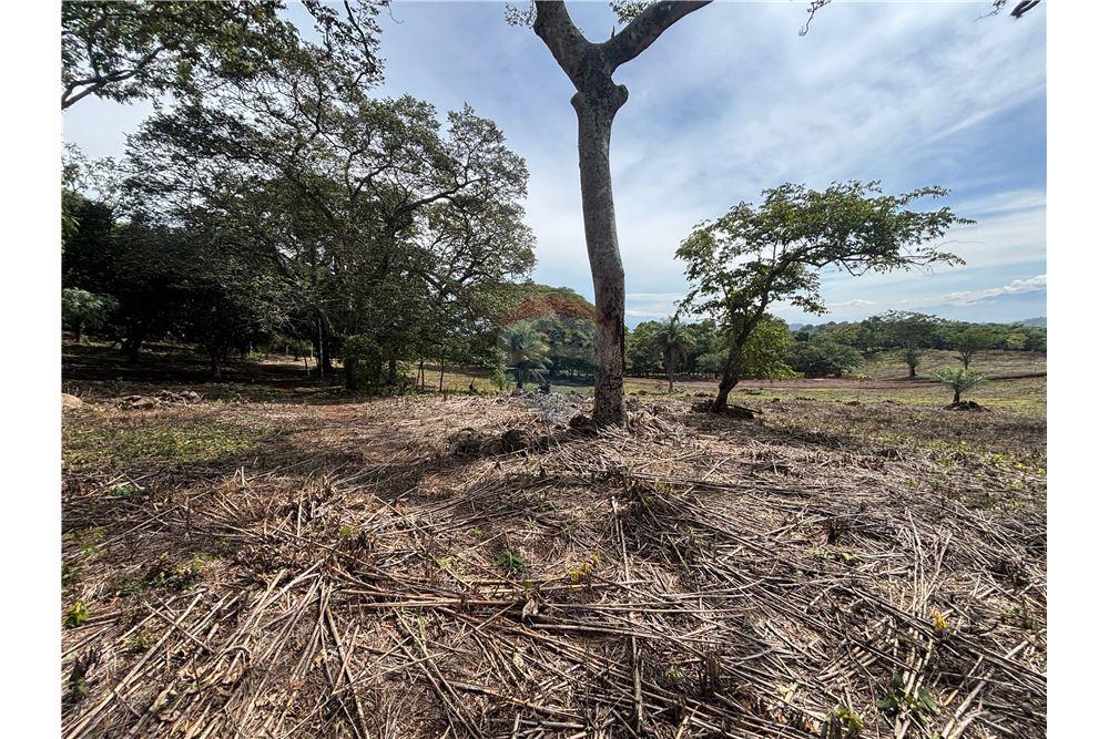 Land - For Sale - Atenas, Alajuela- Atenas, Costa Rica - 2 - 90128002-974