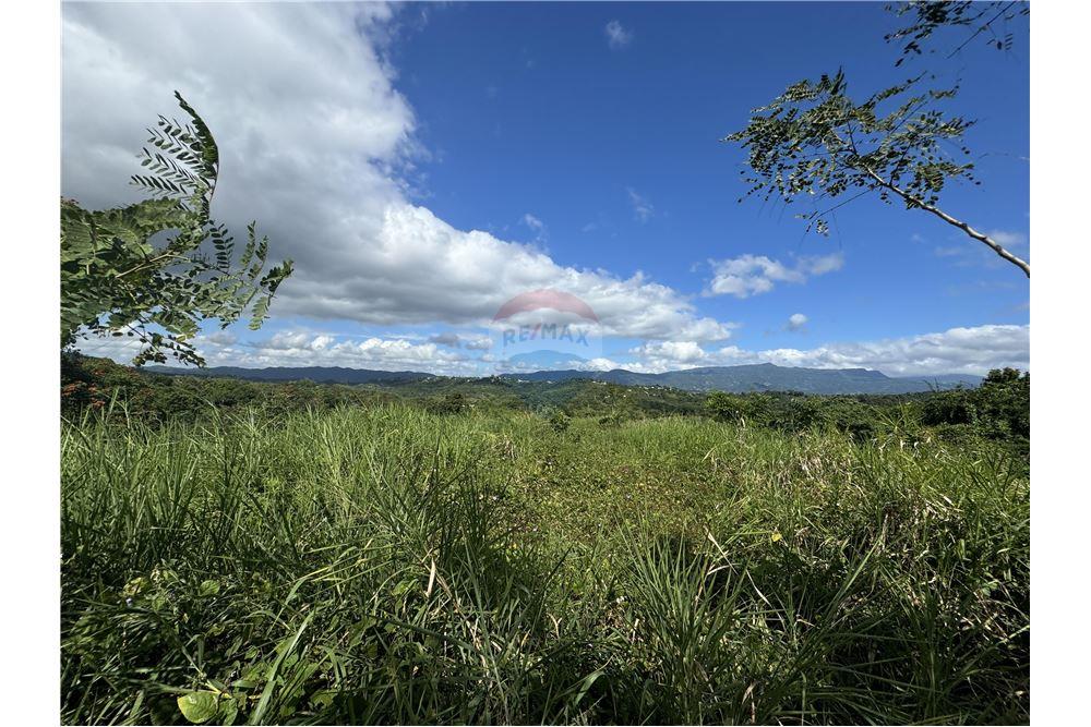 Land - For Sale - Juncos, Juncos, Puerto Rico - 5 - 90102046-21