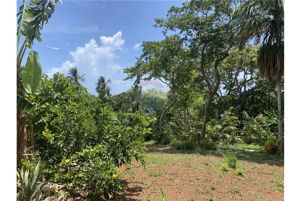 Land - For Sale - Utila, Bay Islands, Honduras - 11 - 90182002-607