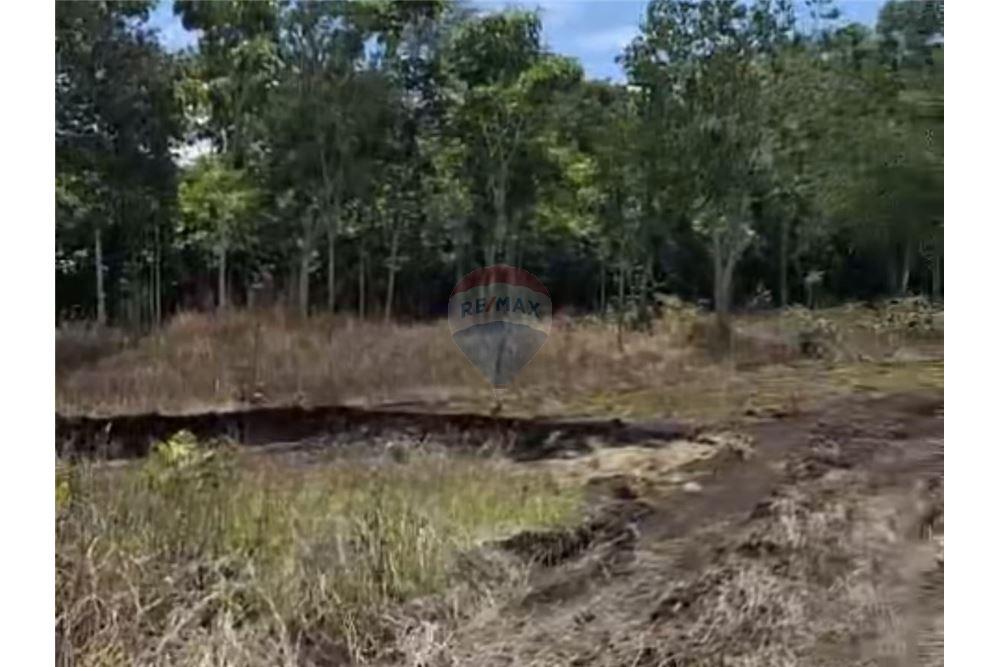 Land - For Sale - San Francisco, Petén, Guatemala - 10 - 902691018-25