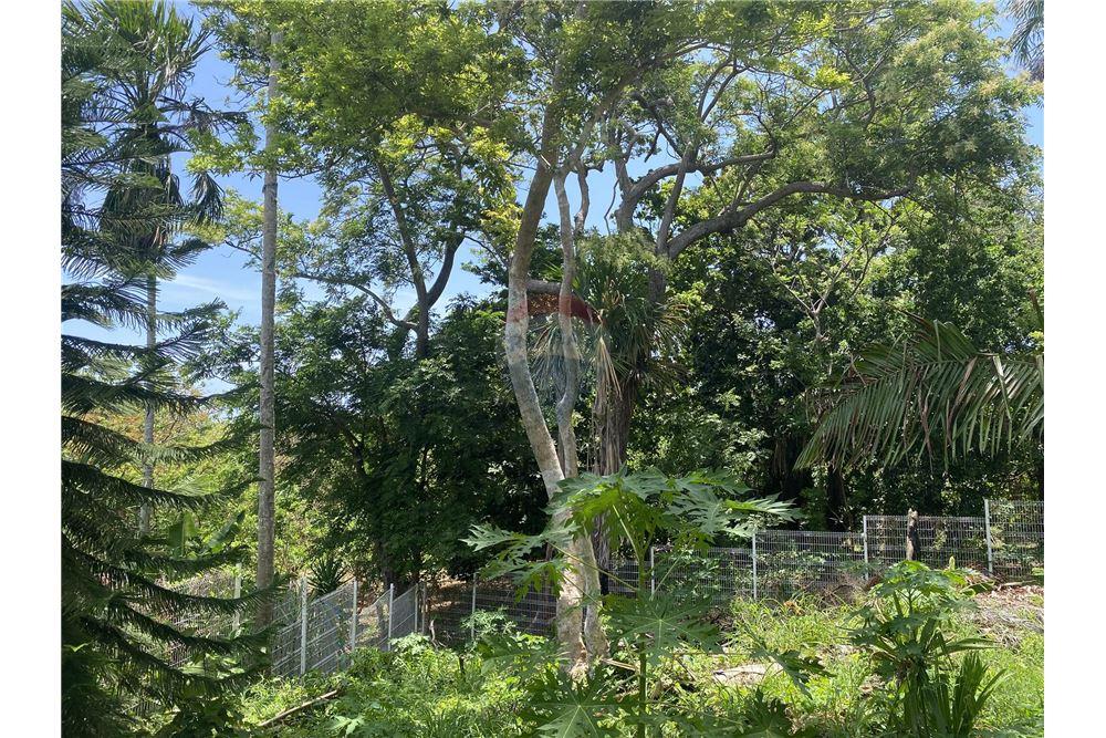 Land - For Sale - Utila, Bay Islands, Honduras - 9 - 90182002-606