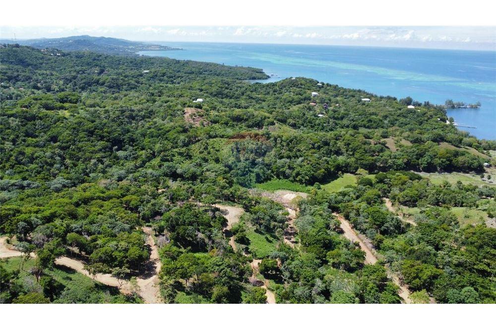 Land - For Sale - Roatan, Bay Islands, Honduras - 14 - 90139004-185