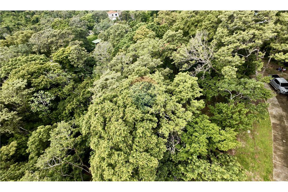 Land - For Sale - Roatan, Bay Islands, Honduras - 5 - 90143009-441