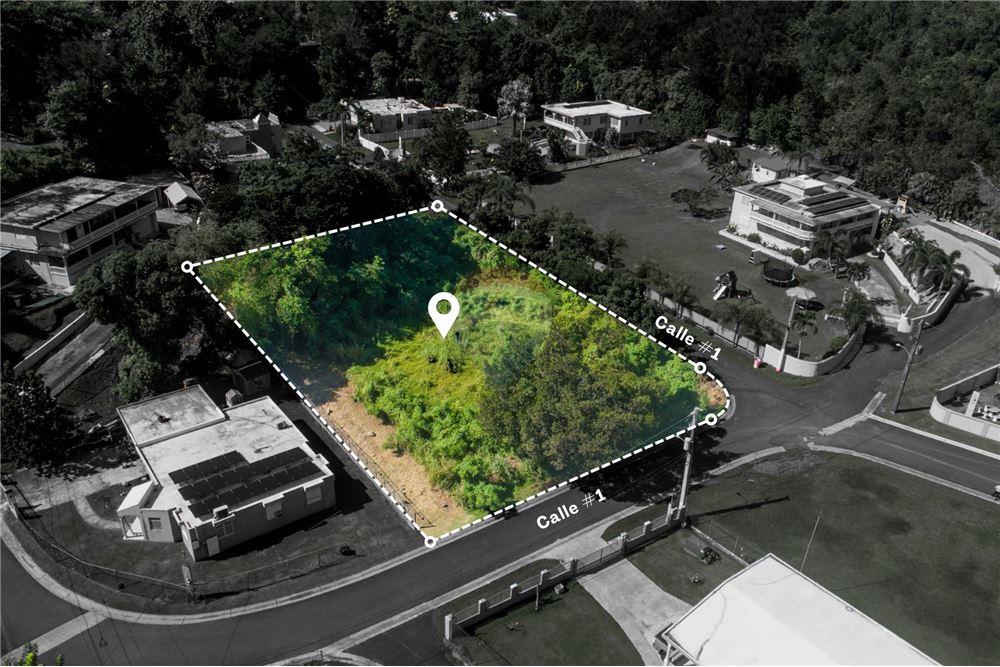 Grondstuk - Te Koop - Dorado, Dorado, Puerto Rico - 3 - 90107007-125
