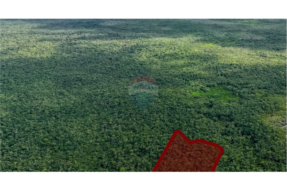 Grondstuk - Te Koop - North Side, Grand Cayman, Cayman Islands - 3 - 90146046-10