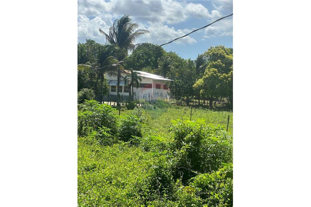 Lote - Venta - Santa Cruz, Saint Elizabeth, Jamaica - 3 - 901321002-8