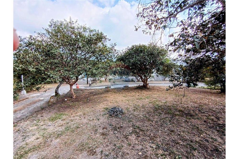 Lote - Venta - Alotenango, Sacatepéquez, Guatemala - 3 - 90129016-21