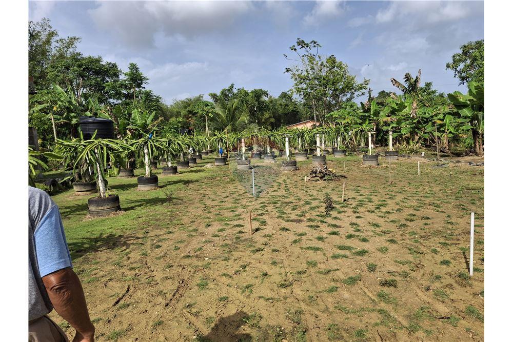 Grondstuk - Te Koop - Sangre Chiquita, Saint Andrew, Trinidad and Tobago - 2 - 90155092-76
