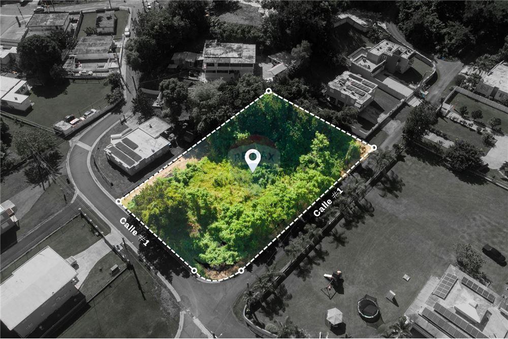 Grondstuk - Te Koop - Dorado, Dorado, Puerto Rico - 4 - 90107007-125