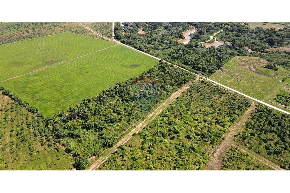 Land - For Sale - Sarawina, Stann Creek District, Belize - 3 - 901911013-58