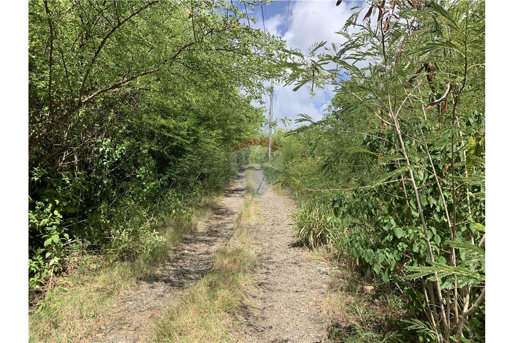 Grondstuk - Te Koop - Gros Islet, Gros-Islet, St Lucia - 9 - 902071001-213