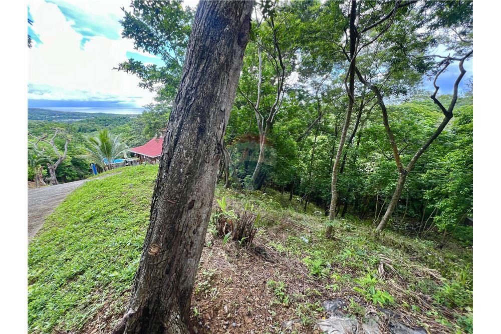 Land - For Sale - Roatan, Bay Islands, Honduras - 3 - 90143009-441