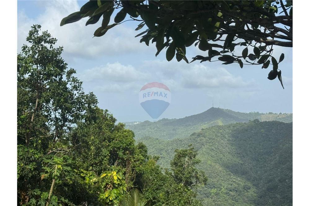 Land - For Sale - Bayamon, Bayamón, Puerto Rico - 1 - 90102070-4