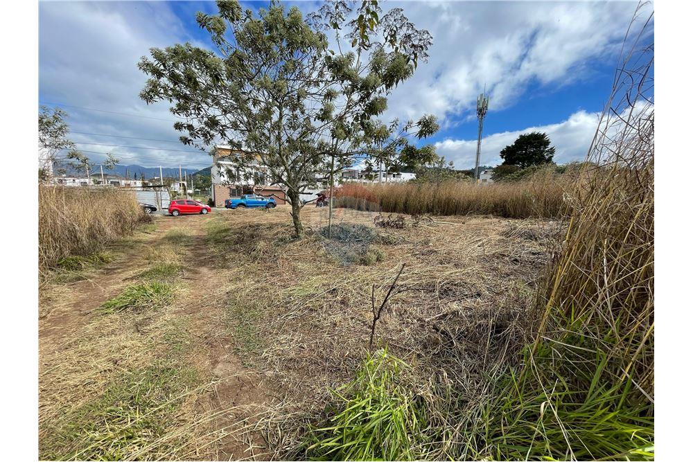 Grondstuk - Te Koop - Acatán, Guatemala, Guatemala - 2 - 902091021-4