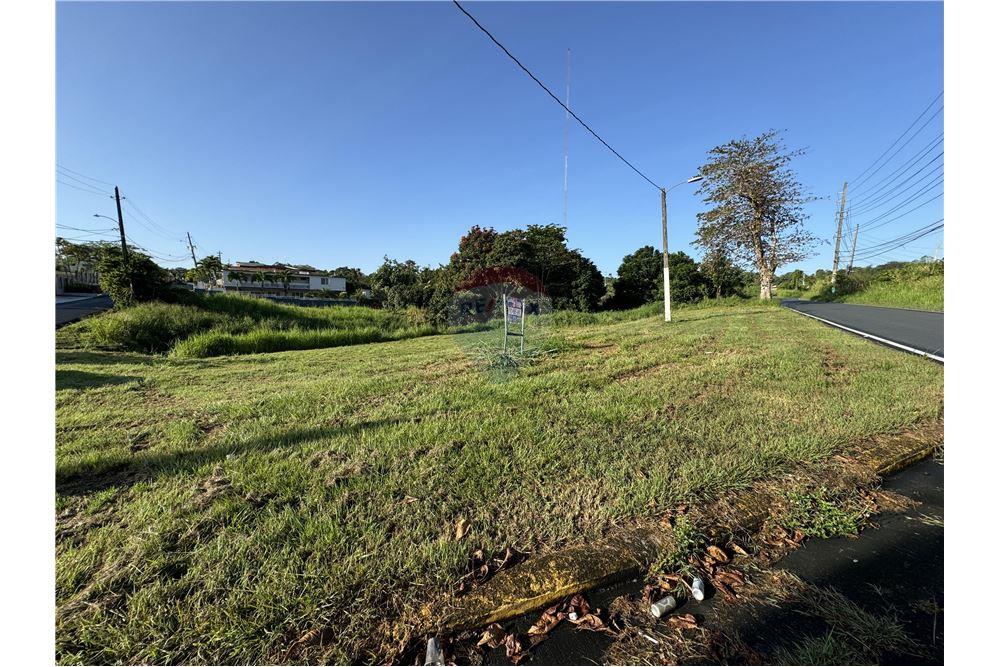 Land - For Sale - Juncos, Juncos, Puerto Rico - 6 - 90102046-20