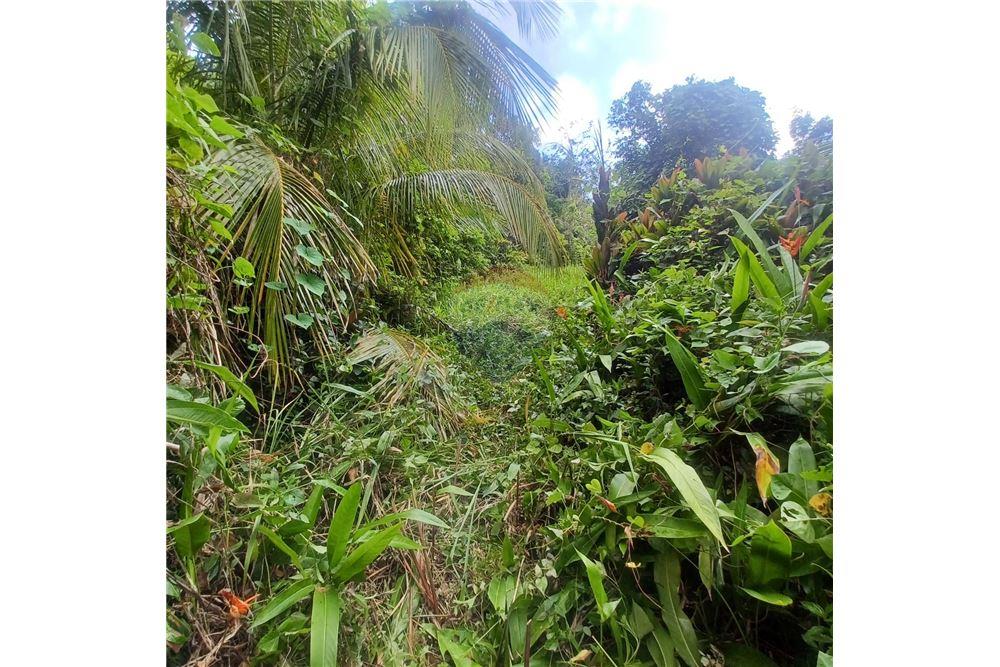 Land - For Sale - Bayamon, Bayamón, Puerto Rico - 6 - 90102070-4