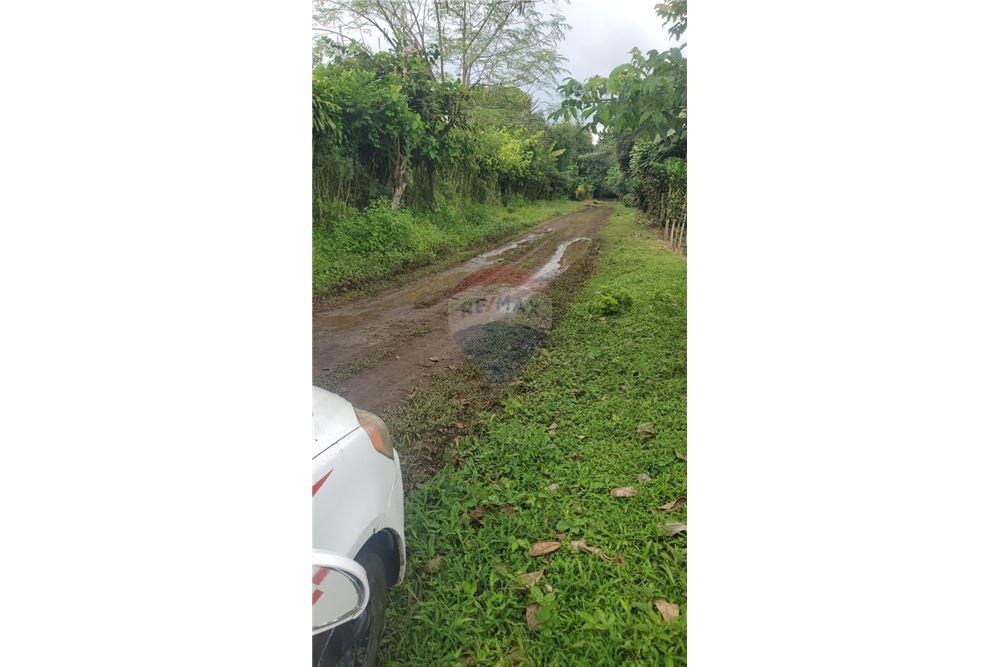 Land - For Sale - Jinotepe, Carazo, Nicaragua - 3 - 902681003-18