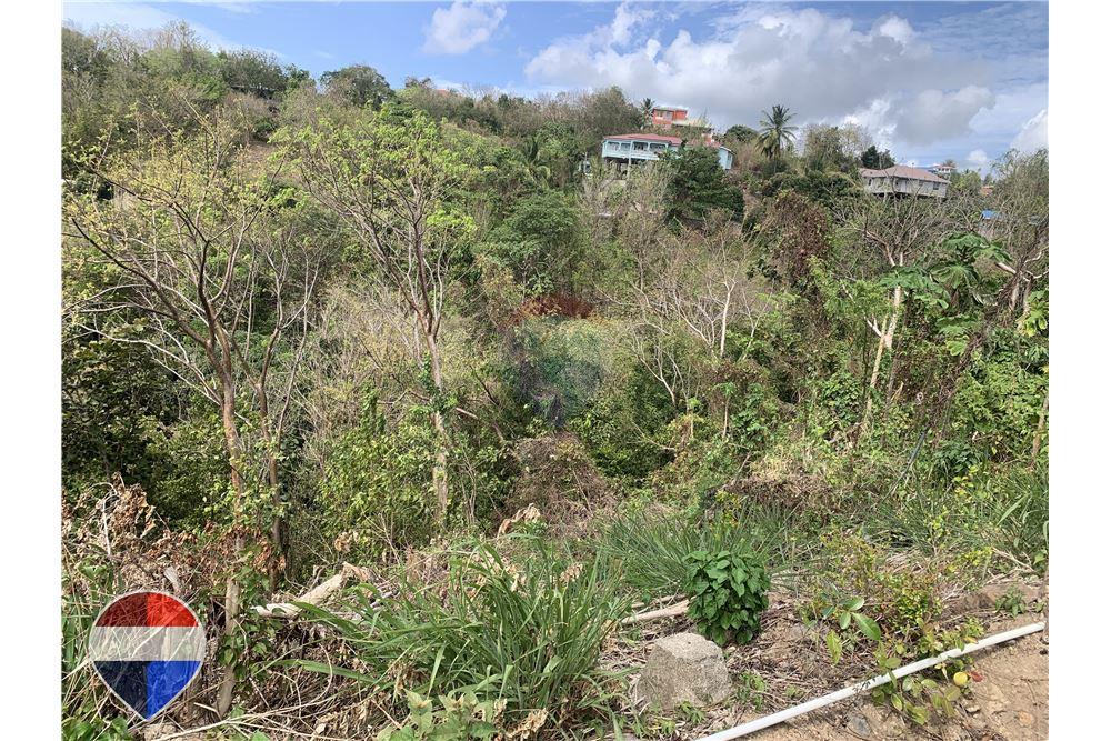Grondstuk - Te Koop - Anse La Raye, Anse-la-Raye, St Lucia - 7 - 902071001-195