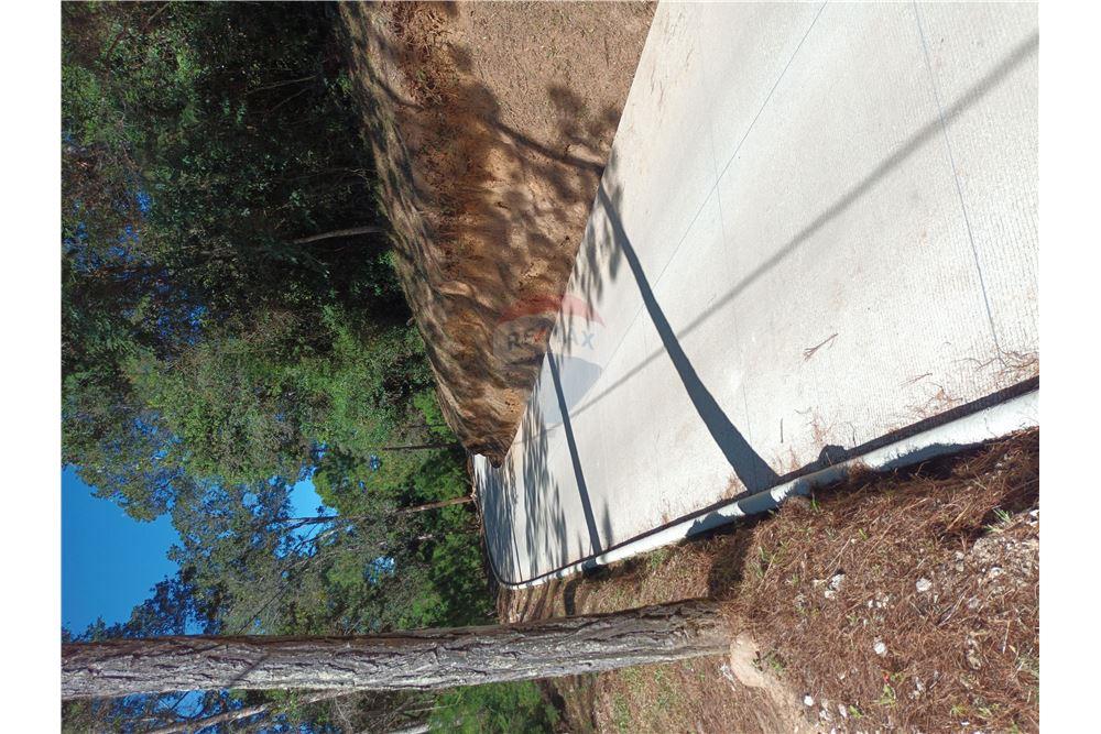 Grondstuk - Te Koop - San Raimundo, Guatemala, Guatemala - 4 - 902691016-8