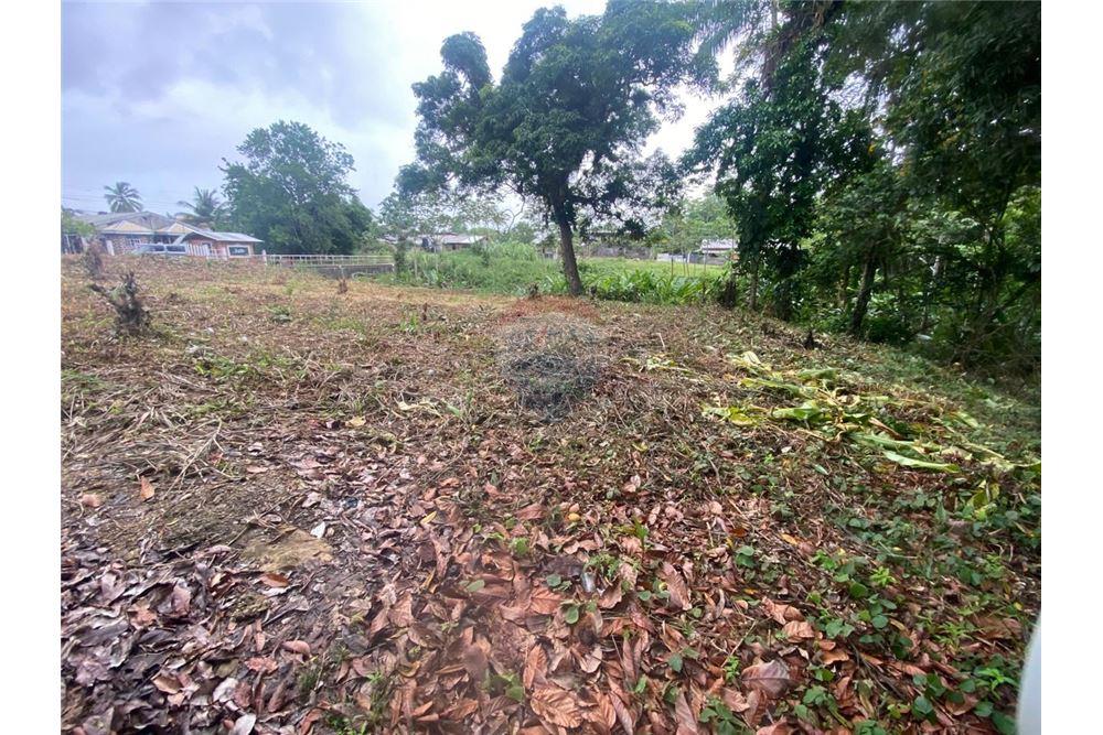 Lote - Venta - Sangre Grande, Saint Andrew, Trinidad and Tobago - 5 - 90155109-184