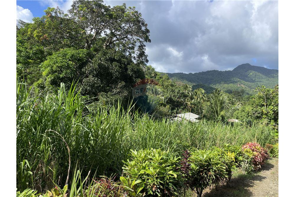Land - For Sale - Bexon, Castries, St Lucia - 1 - 902071001-203
