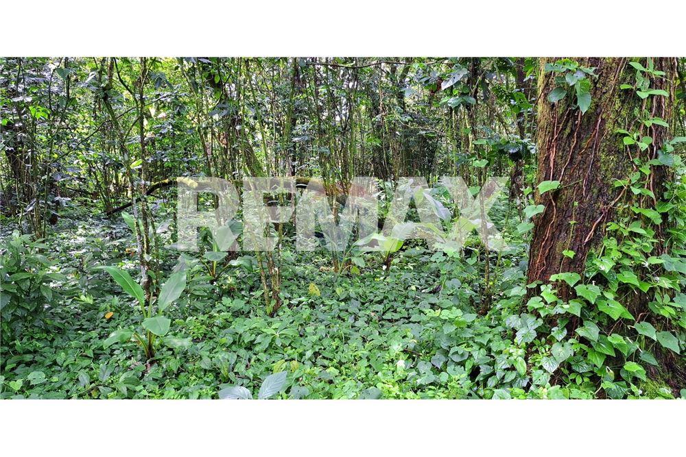 Land - For Sale - Santa Elena Barillas, Guatemala, Guatemala - 16 - 902091017-26