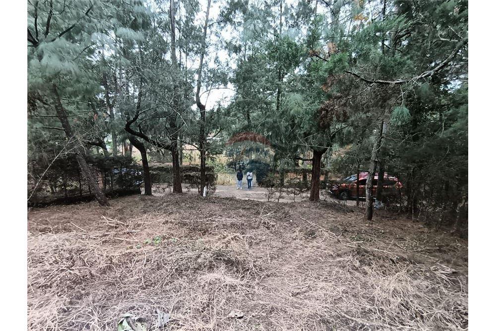 Grondstuk - Te Koop - Sumpango, Sacatepéquez, Guatemala - 1 - 90129016-22